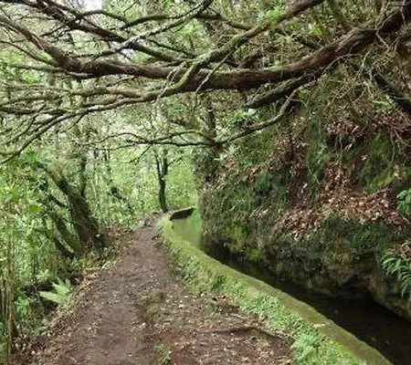 Little Norway * Arco da Calheta (Madeira)